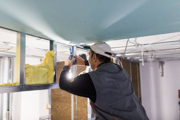 Best Insulation Removal  in Garrett, TX