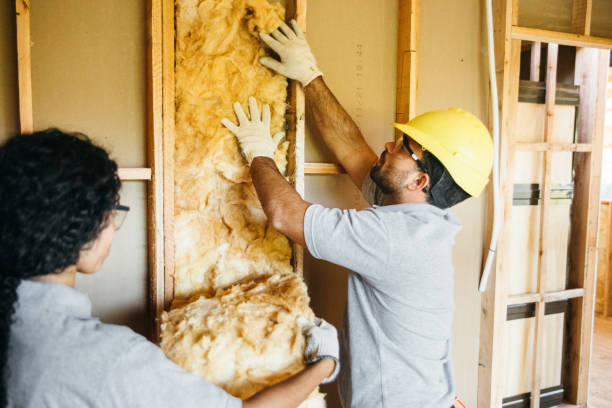 Types of Insulation We Offer in Garrett, TX